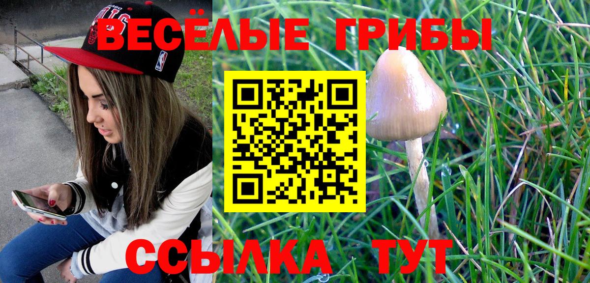 Псилоцибиновые грибы GOLDEN TEACHER Грязи